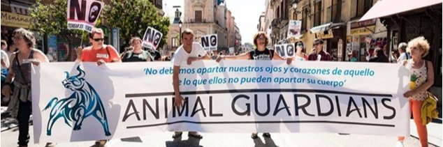 Fundación Animal Guardians banner