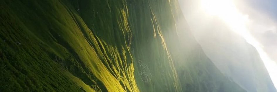 PWaly's profile banner image