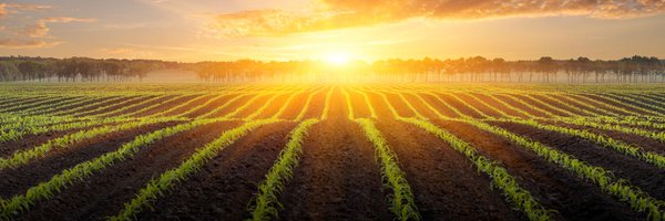 FieldstoForks Profile Banner