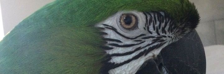 Yellow Cube 777 🌻 banner