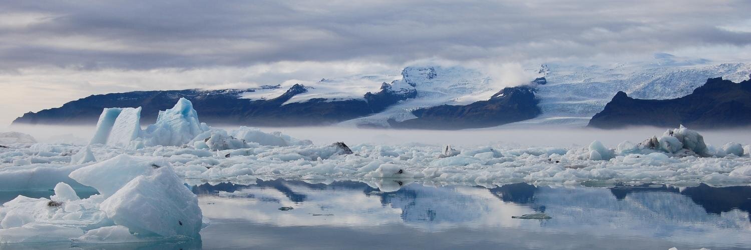 Nicolas Zermati banner