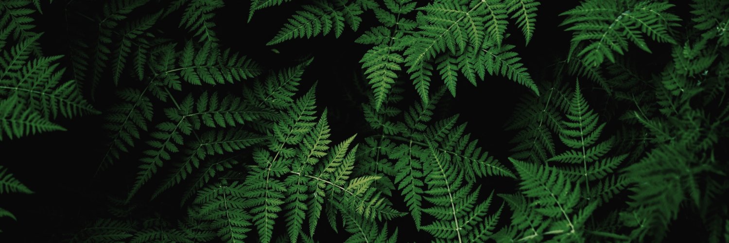 jes_wtf's profile banner image
