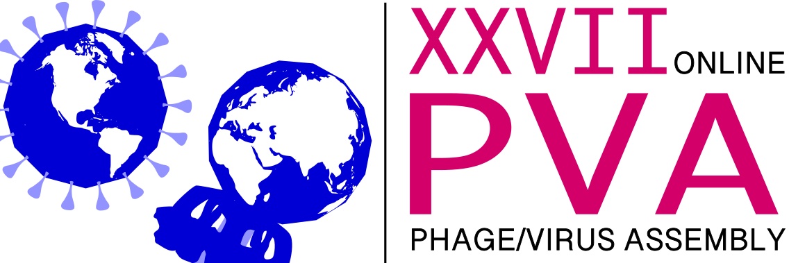 Phage Virus Assembly banner