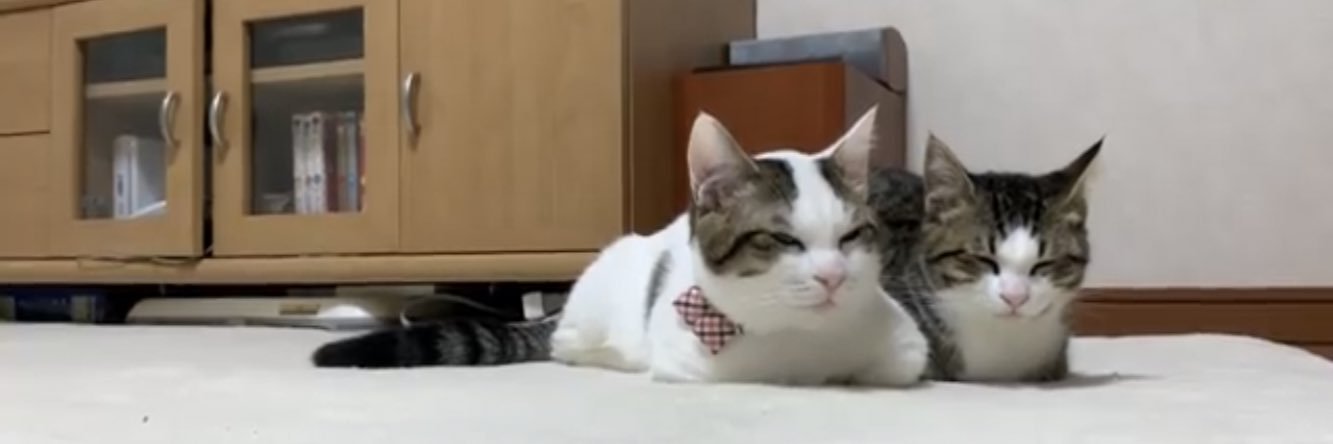 cdoambw's profile banner image