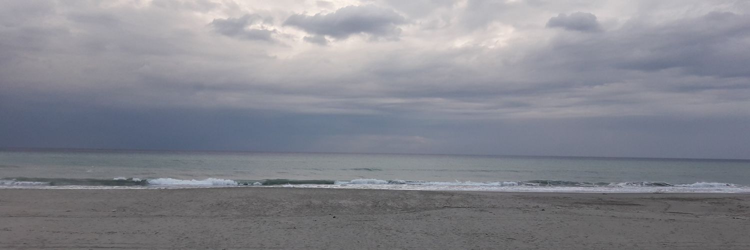 Musavver Didem Cambaz banner