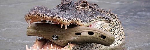 StocktonCrocton's profile banner image