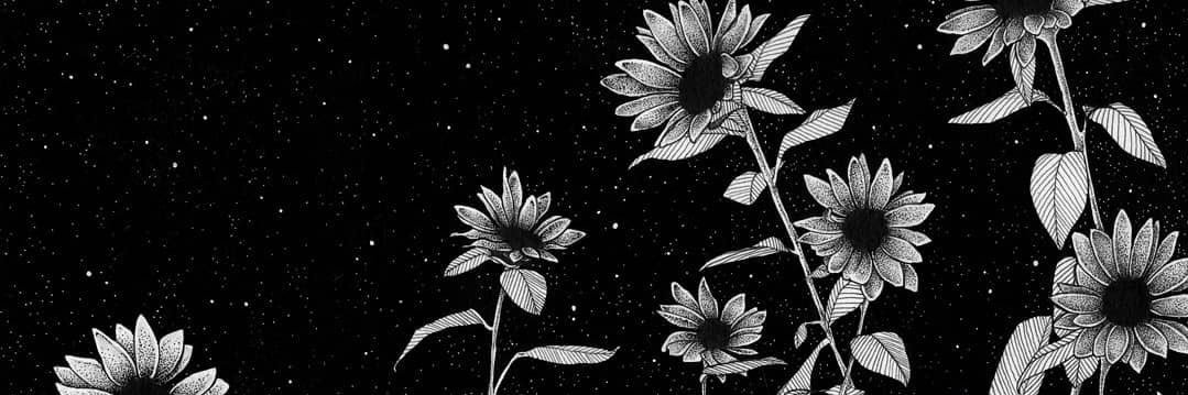 fihuuu's profile banner image