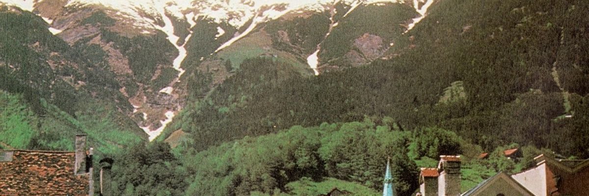 ZOYA banner