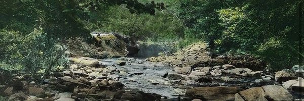 nclicensehelp Profile Banner