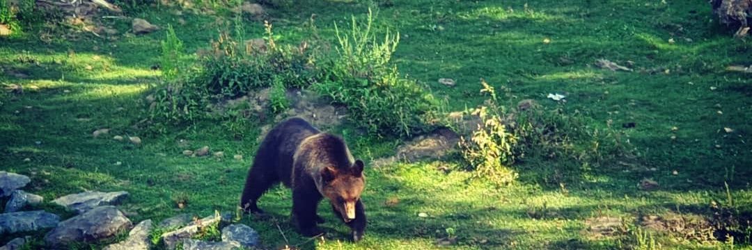 Yasmine Bequé banner