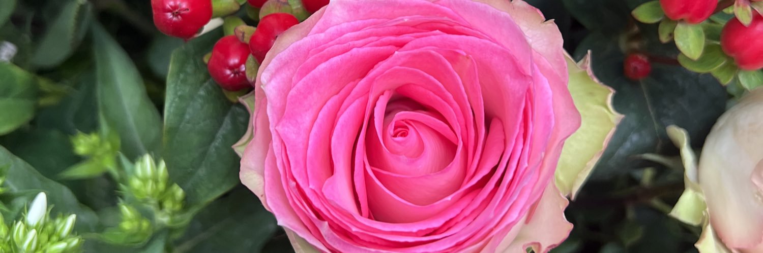 TheFarahKarim's profile banner image