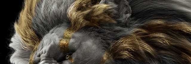 donnathat's profile banner image
