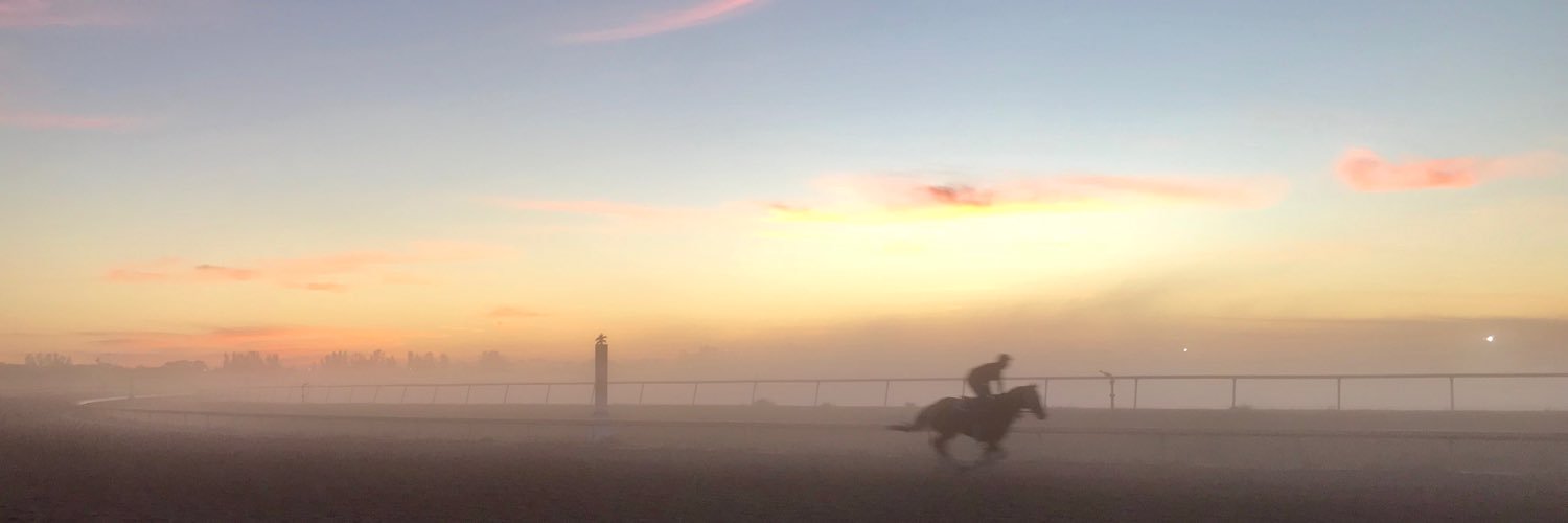 Tropical Rose banner