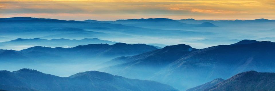 profoundprofile's profile banner image