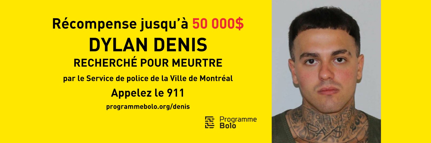 Bolo Program | Programme Bolo's banner