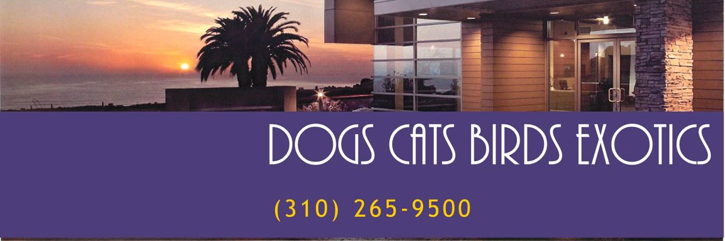 Point Vicente Animal Hospital banner