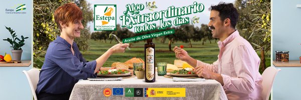 doestepa Profile Banner