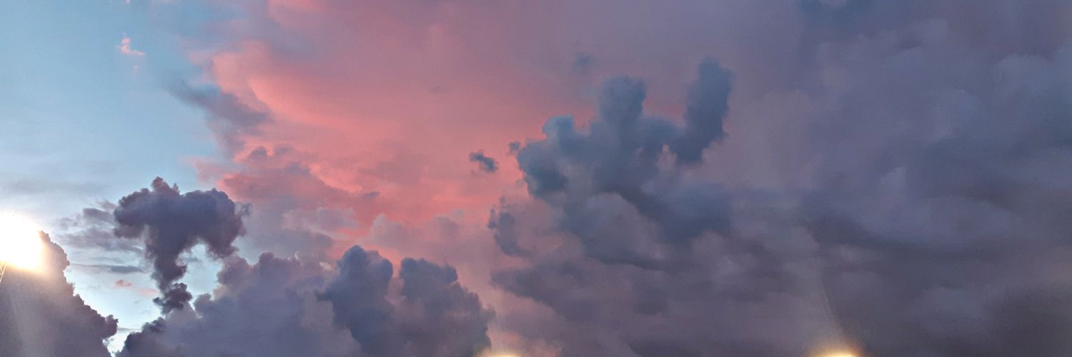 nahonms's profile banner image