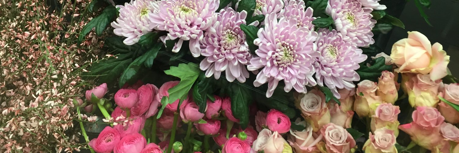 ellenadolfssonn's profile banner image