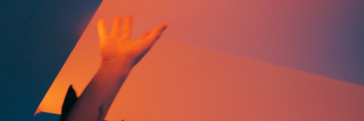 Taylor Roche banner