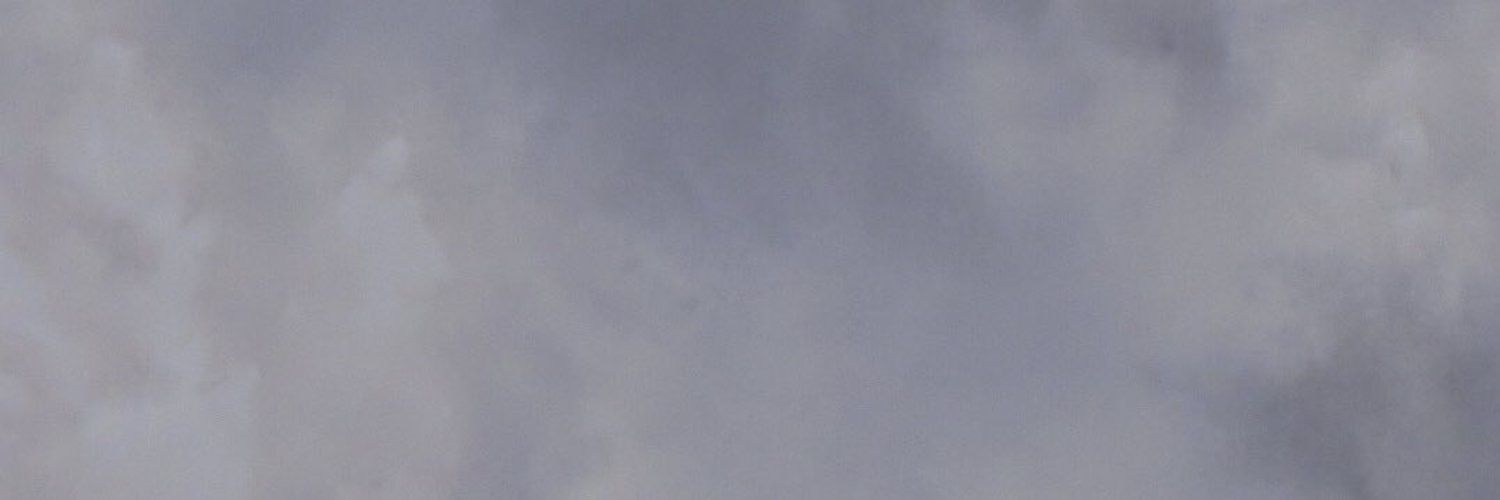 _drexanela's profile banner image