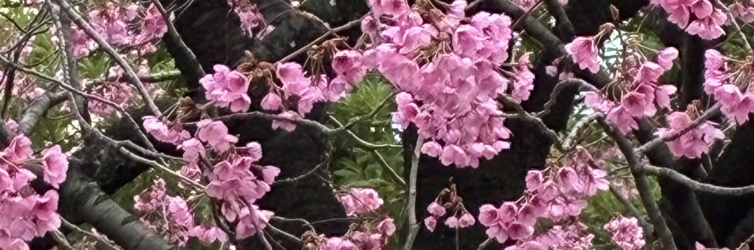 vivik_tom's profile banner image
