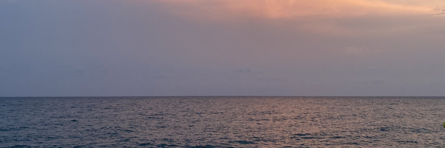 eryyel's profile banner image