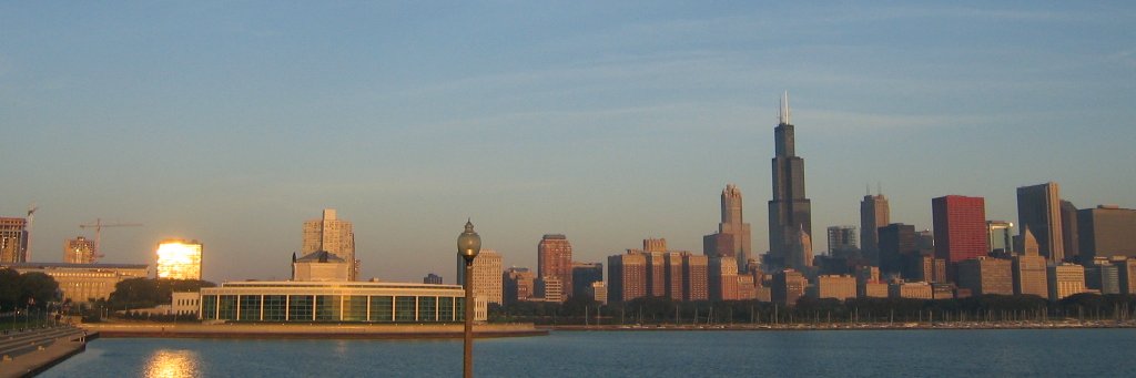 Aliya Noor Husain banner