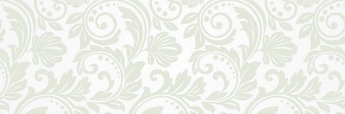 2b1ask010 banner