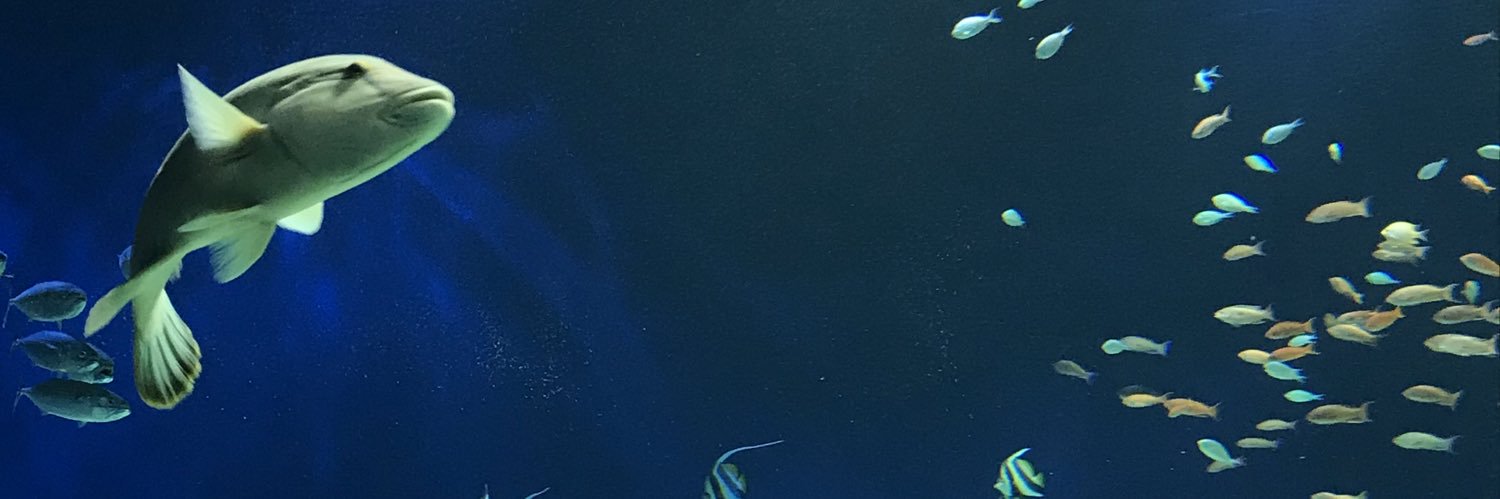 chumsunsun526's profile banner image