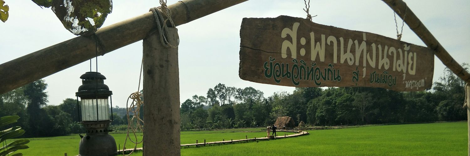 TP2526's profile banner image
