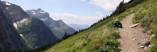MeganKuhfeld Profile Banner