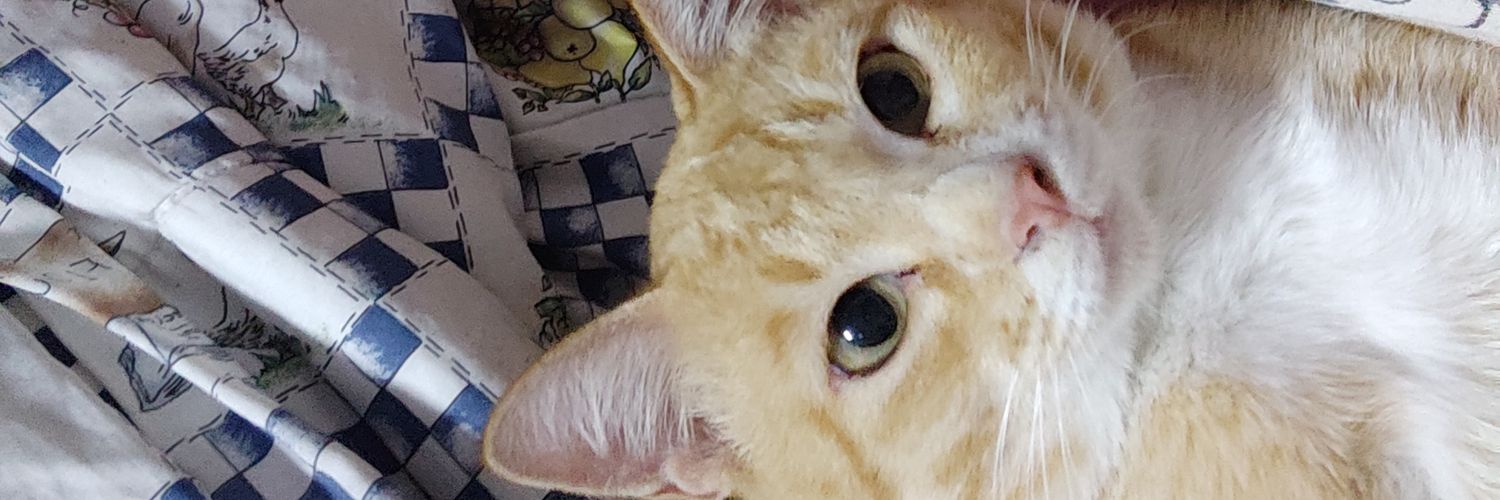 Lionitch's profile banner image