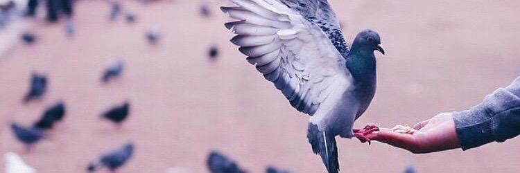 BibaCom17's profile banner image