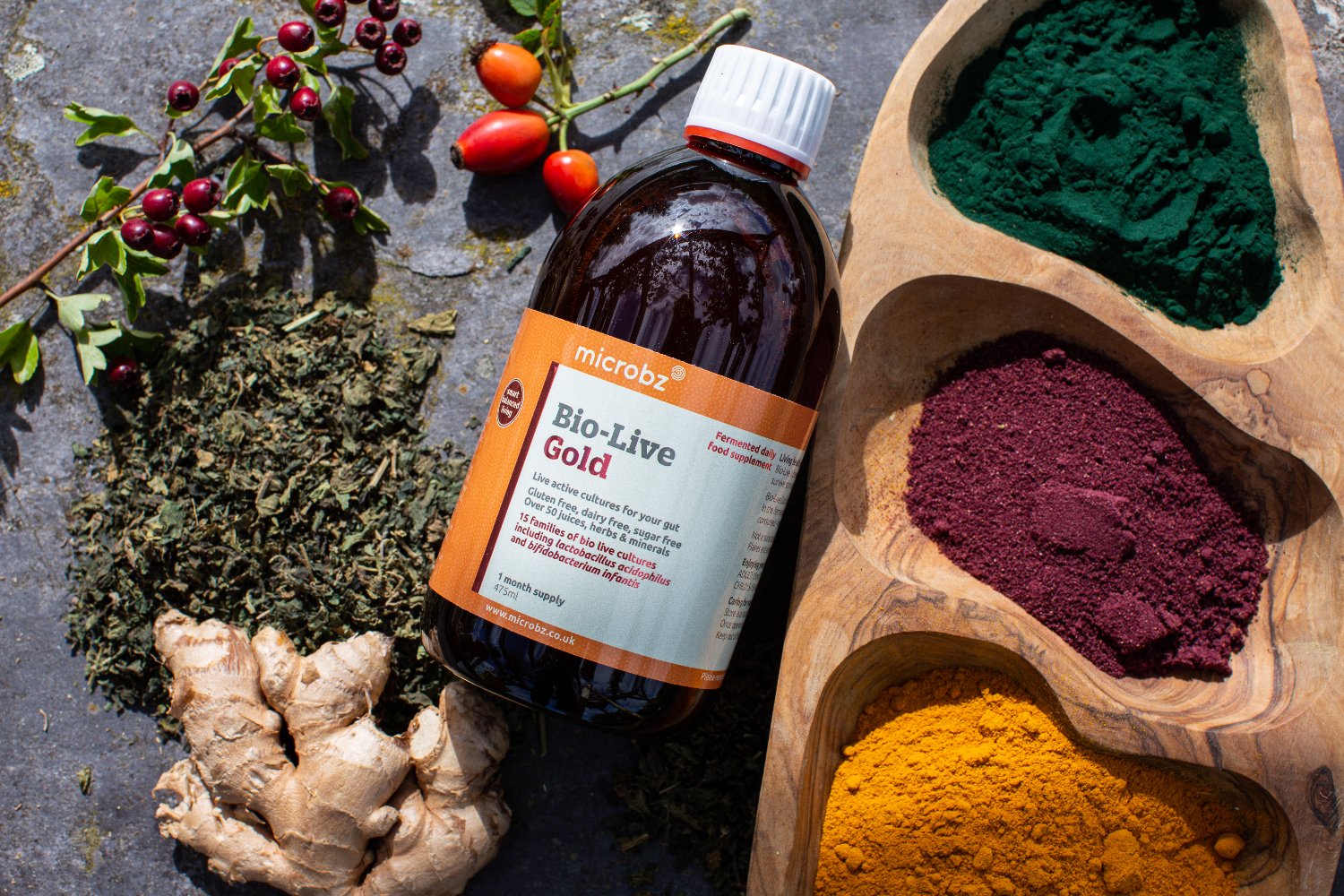 Microbz Probiotics banner