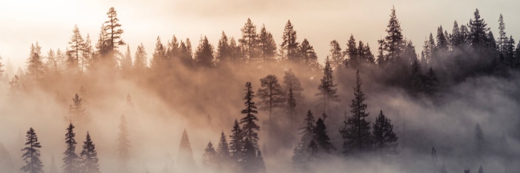 janmferrer's profile banner image