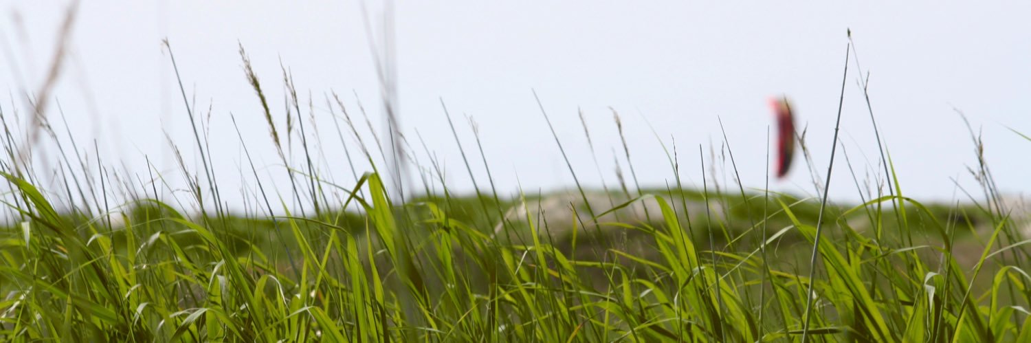 DoITDistributed's profile banner image