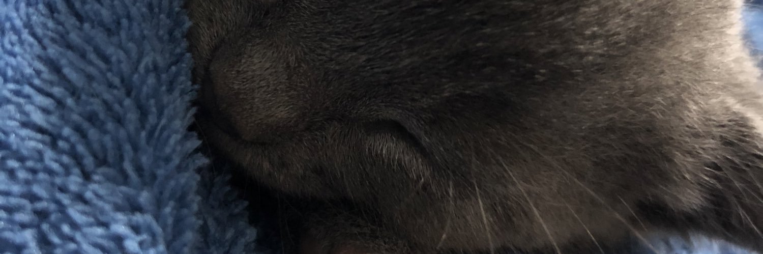 bonajv's profile banner image