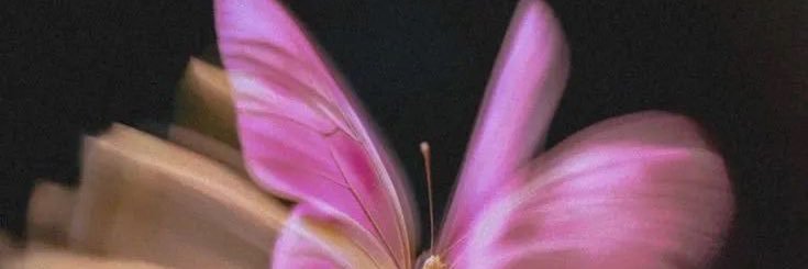 moralescass_'s profile banner image