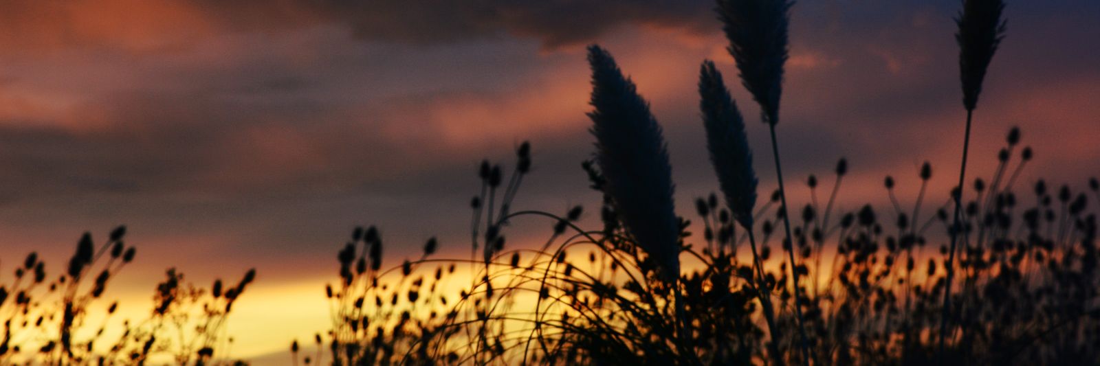 florrrcab14's profile banner image