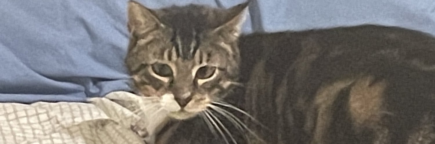 Wandering Crabbo banner