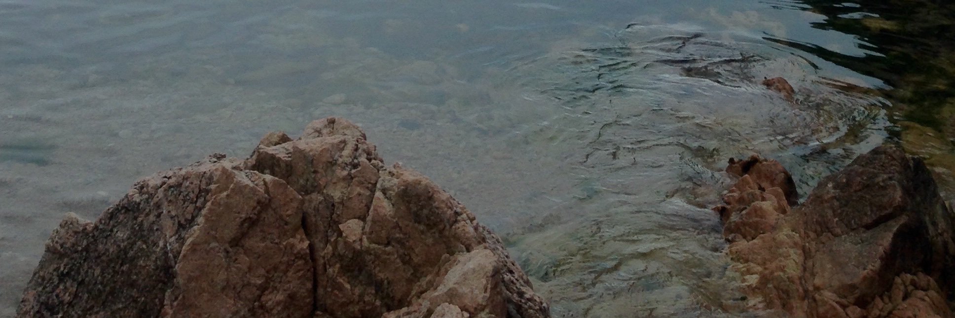 Rusc1's profile banner image