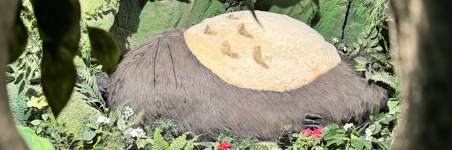chanhanah's profile banner image