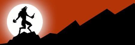 WolfsGamingBlog's profile banner image
