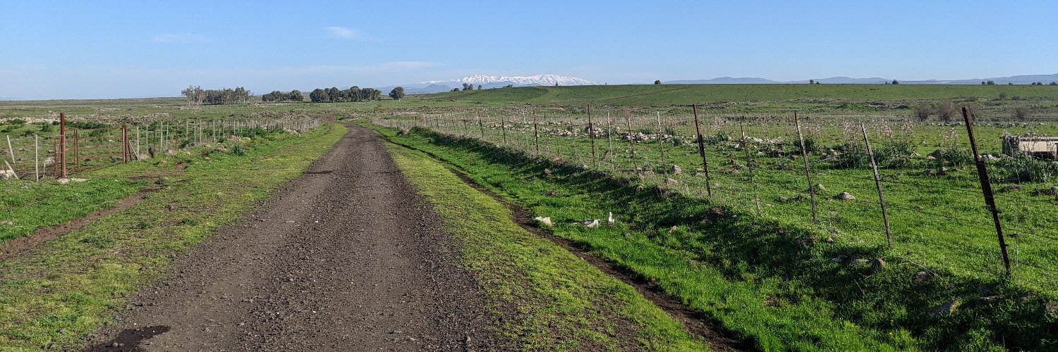 Roman Gershman 🇮🇱 banner