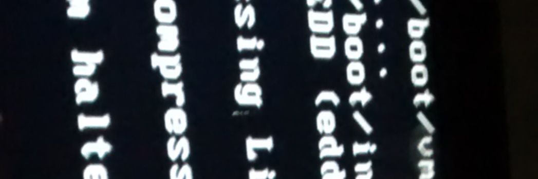 ｔｒｏｔｔｏ banner