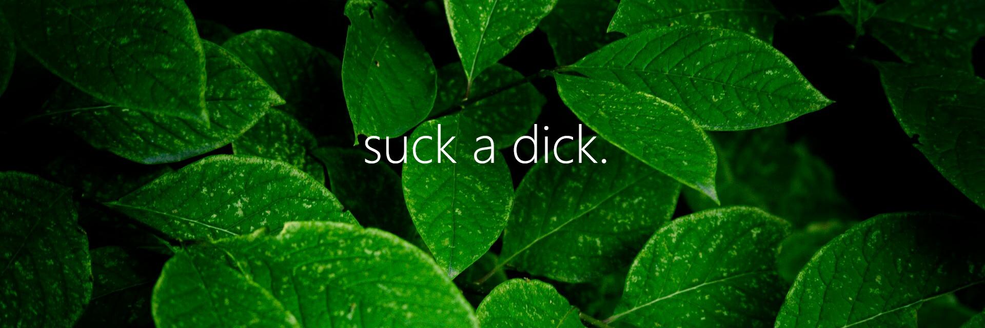 PermanentlyInac's profile banner image