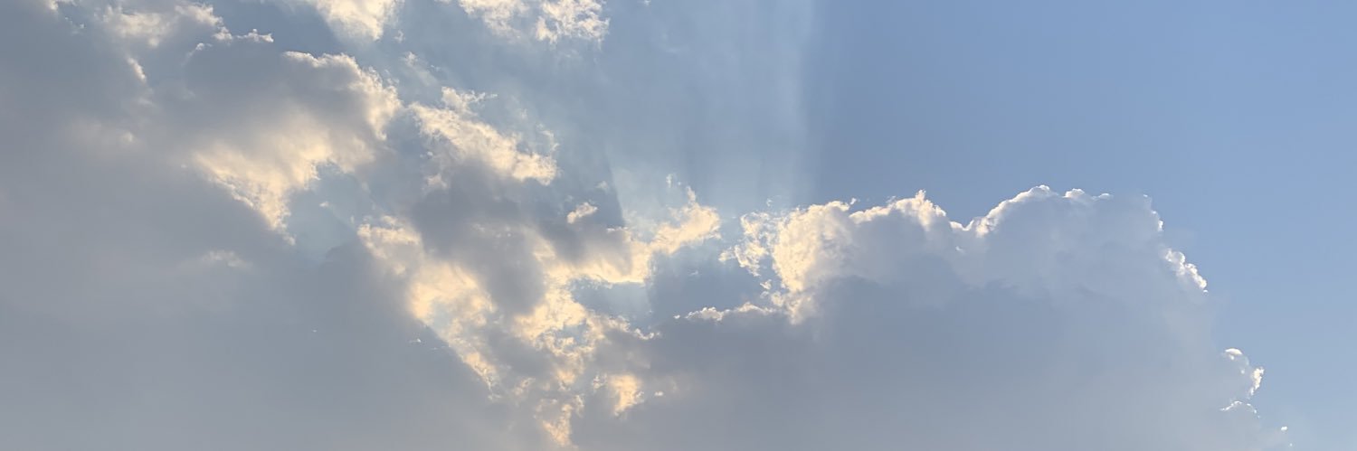 shadyvd's profile banner image