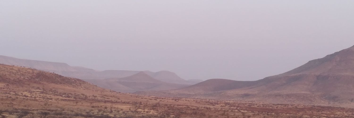 Prof. Sian Sullivan ☮️ 🕊️ 🌱 banner