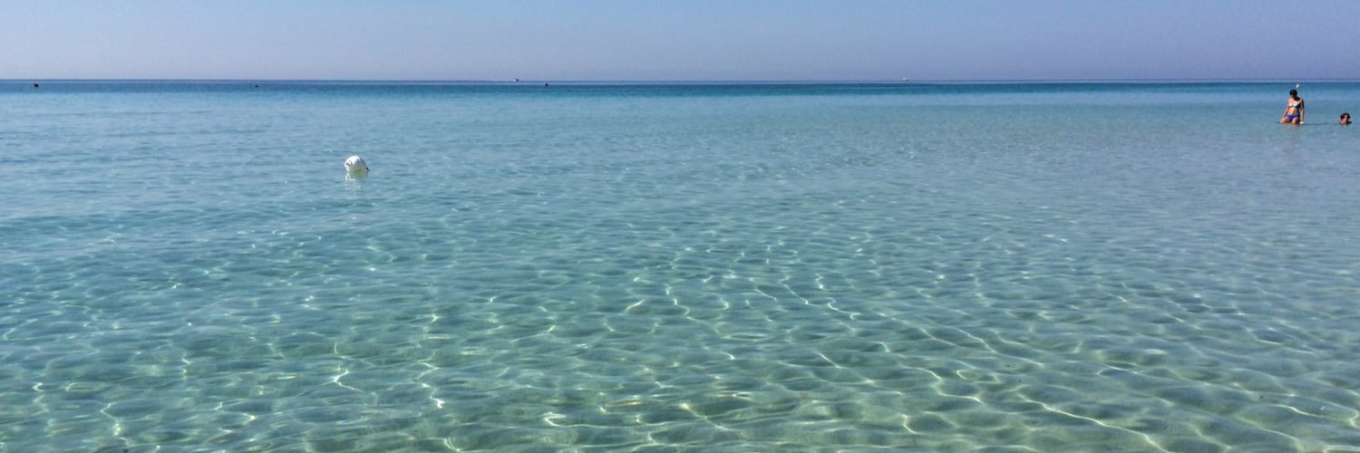 Monica Regazzi banner